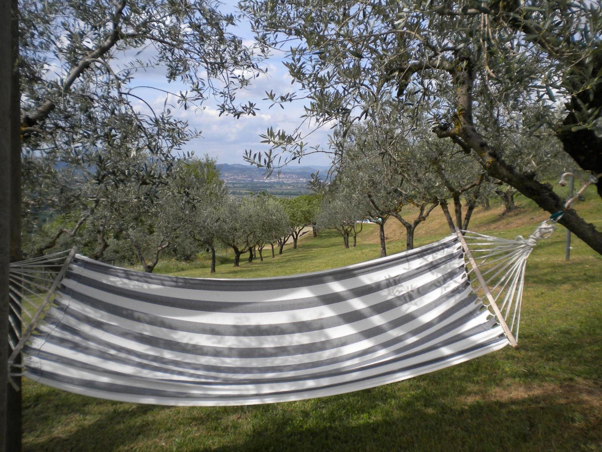 Il Poggio Delle Ginestre Pension Torgiano Buitenkant foto