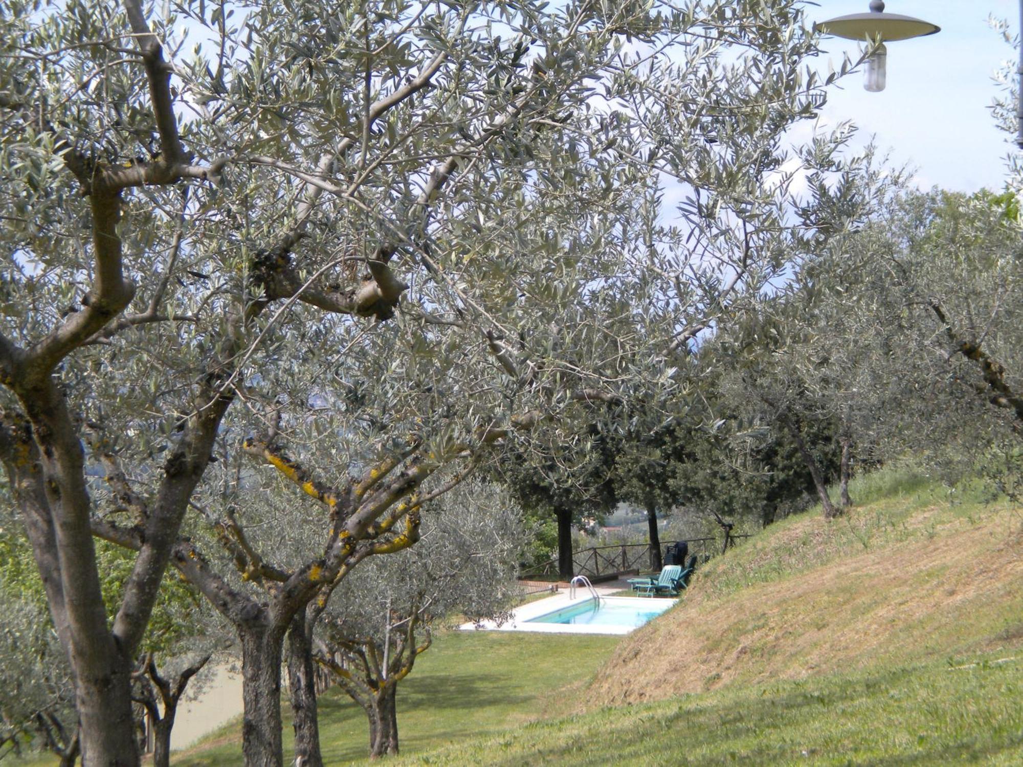 Il Poggio Delle Ginestre Pension Torgiano Buitenkant foto