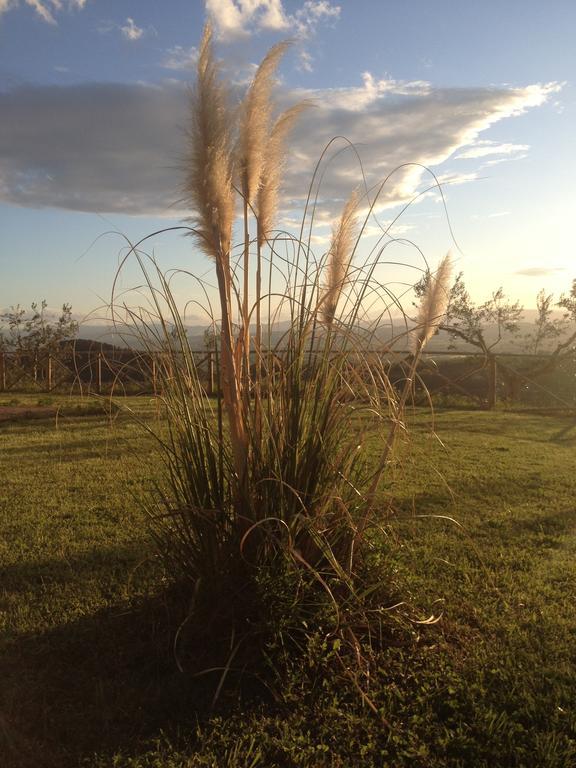 Il Poggio Delle Ginestre Pension Torgiano Buitenkant foto