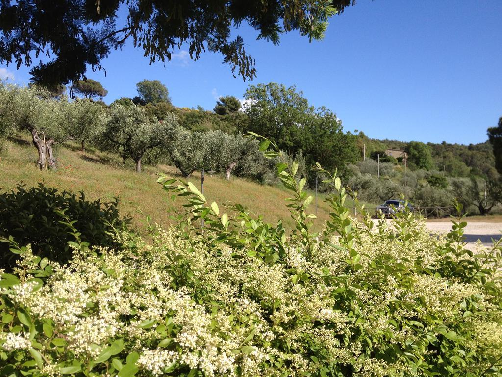Il Poggio Delle Ginestre Pension Torgiano Buitenkant foto