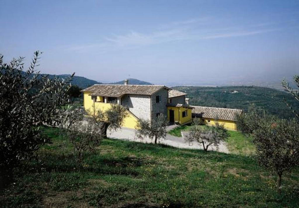 Il Poggio Delle Ginestre Pension Torgiano Buitenkant foto